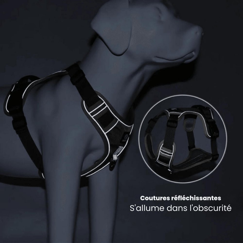 No-Pull Dog Harness, Reflective Adjustable Walking Harness with Breathable Fabric - Homvista