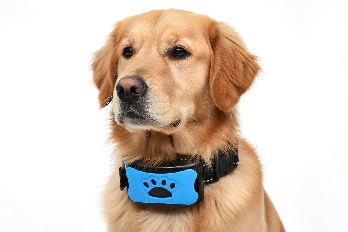 Anti-Bark Collar for Dogs, Rechargeable Vibration & Ultrasound Collar with 7 Adjustable Levels - Homvista