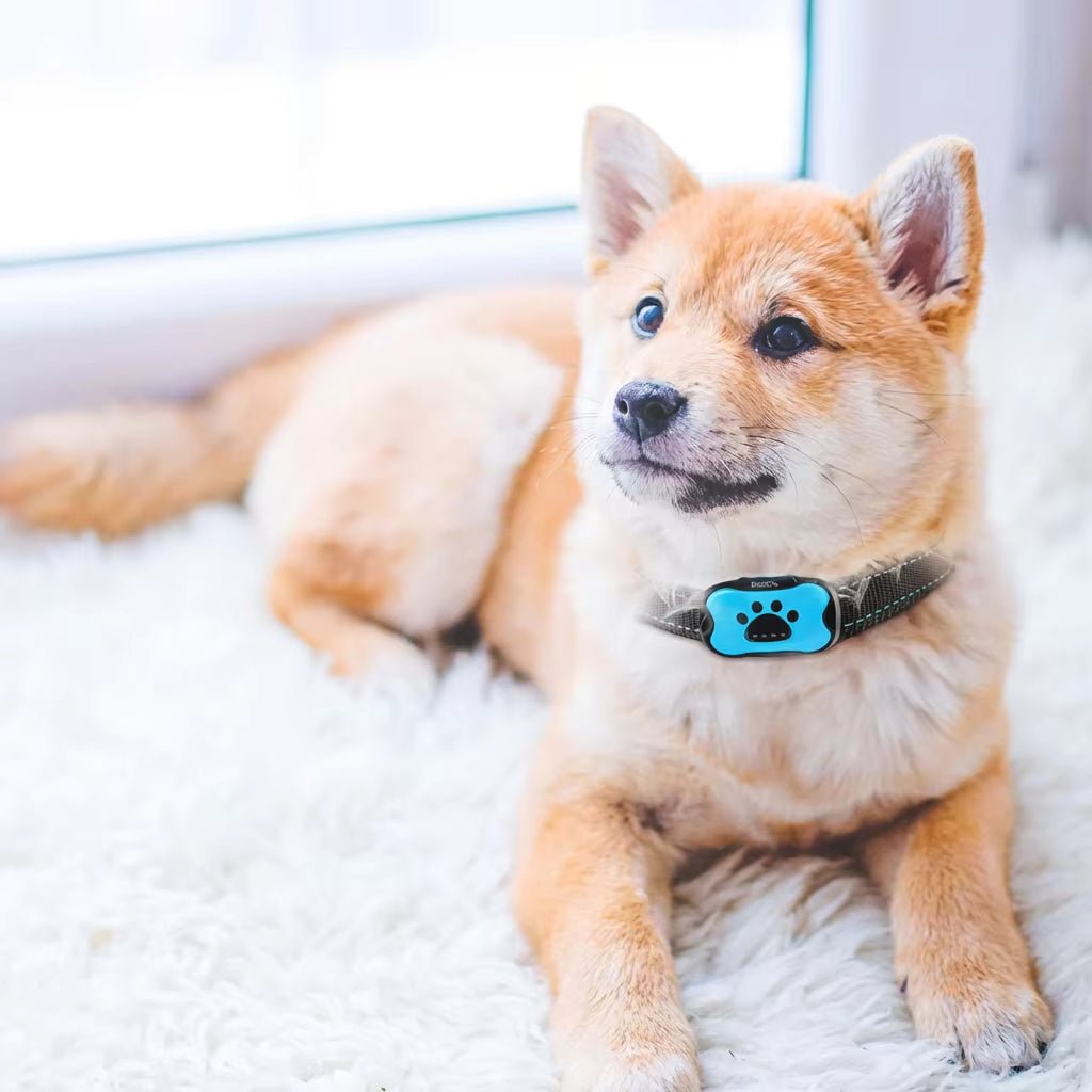 Anti-Bark Collar for Dogs, Rechargeable Vibration & Ultrasound Collar with 7 Adjustable Levels - Homvista