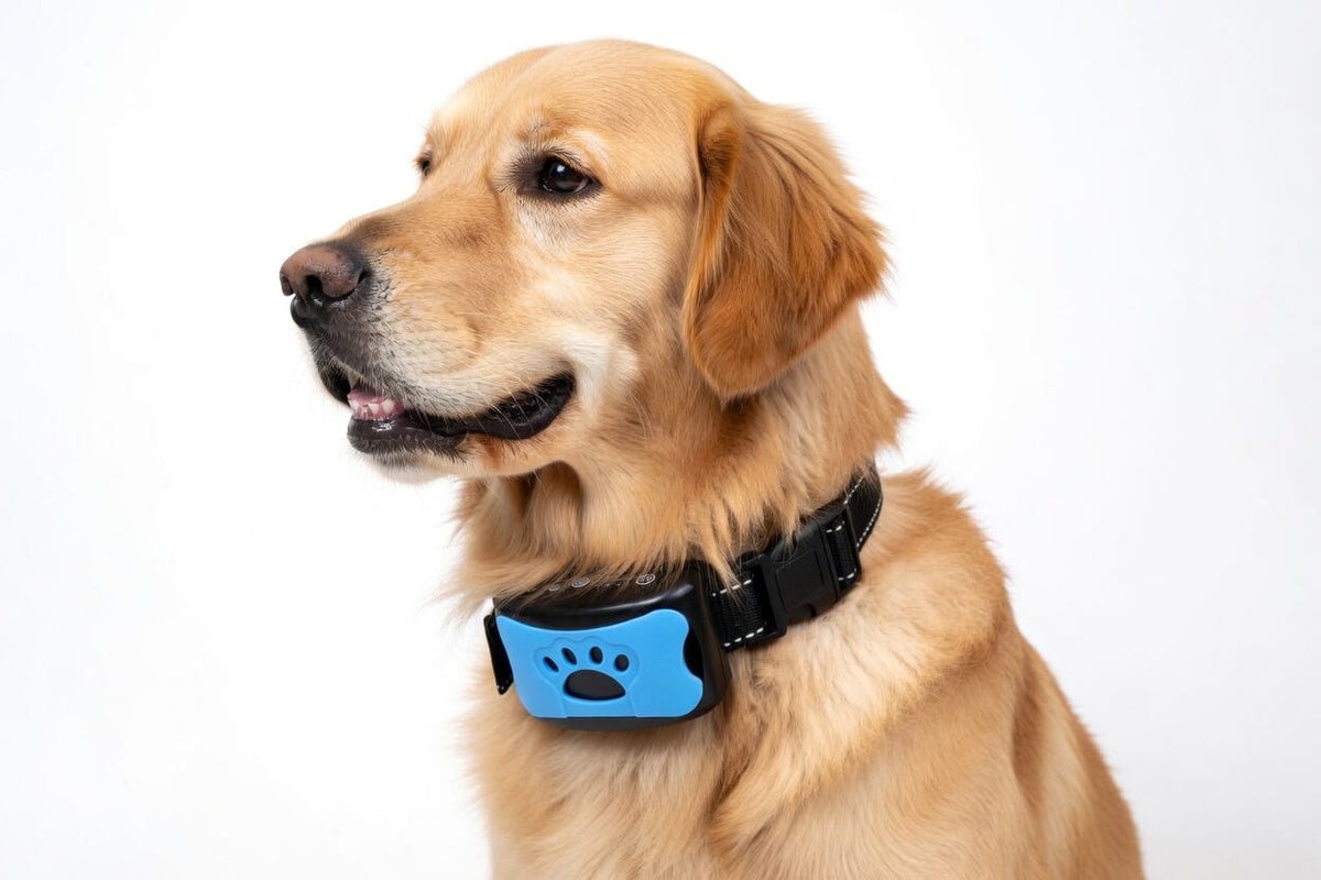 Anti-Bark Collar for Dogs, Rechargeable Vibration & Ultrasound Collar with 7 Adjustable Levels - Homvista