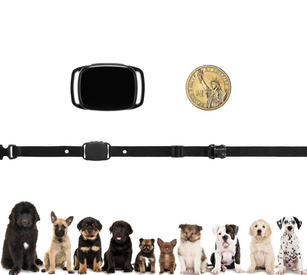 Anti-Bark Collar for Small Dogs 5–15 lb, Beep & Vibration, 6 Sensitivity Levels, IP67 - Homvista