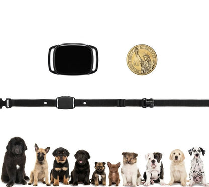 Anti-Bark Collar for Small Dogs 5–15 lb, Beep & Vibration, 6 Sensitivity Levels, IP67 - Homvista