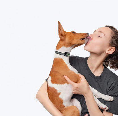 Anti-Bark Collar for Small Dogs 5–15 lb, Beep & Vibration, 6 Sensitivity Levels, IP67 - Homvista