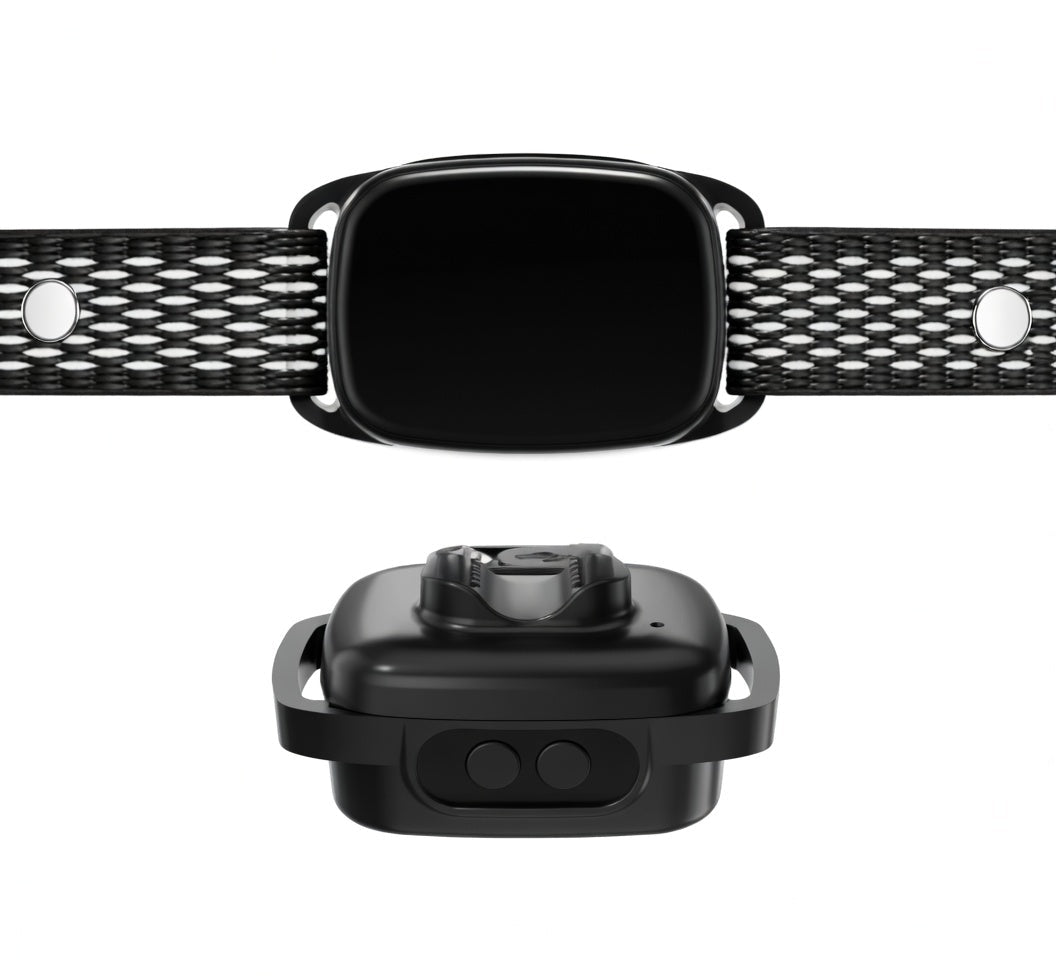 Anti-Bark Collar for Small Dogs 5–15 lb, Beep & Vibration, 6 Sensitivity Levels, IP67 - Homvista