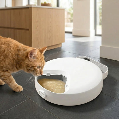 Automatic Cat Feeder, 4-Meal Wet & Dry Food Dispenser with Ice Packs & Cordless Design - Homvista