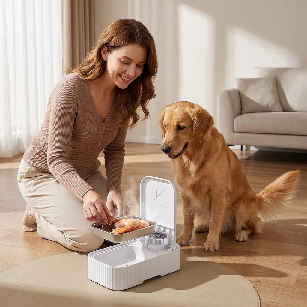 Automatic Pet Feeder, 2-Meal Timed Food Dispenser with Ice Packs & 48-Hour Timer - Homvista