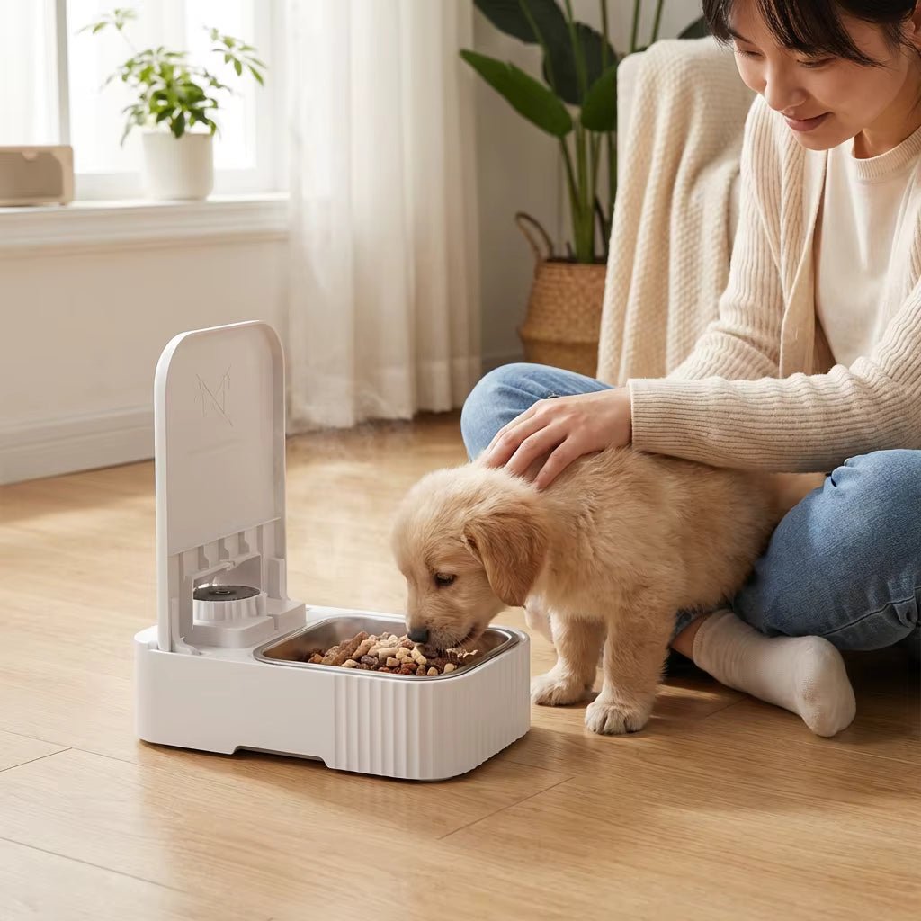 Automatic Pet Feeder, 2-Meal Timed Food Dispenser with Ice Packs & 48-Hour Timer - Homvista