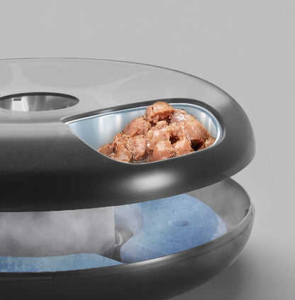 Automatic Pet Feeder, 6L WiFi Cat & Dog Food Dispenser with App Control & Low-Food Alerts - Homvista