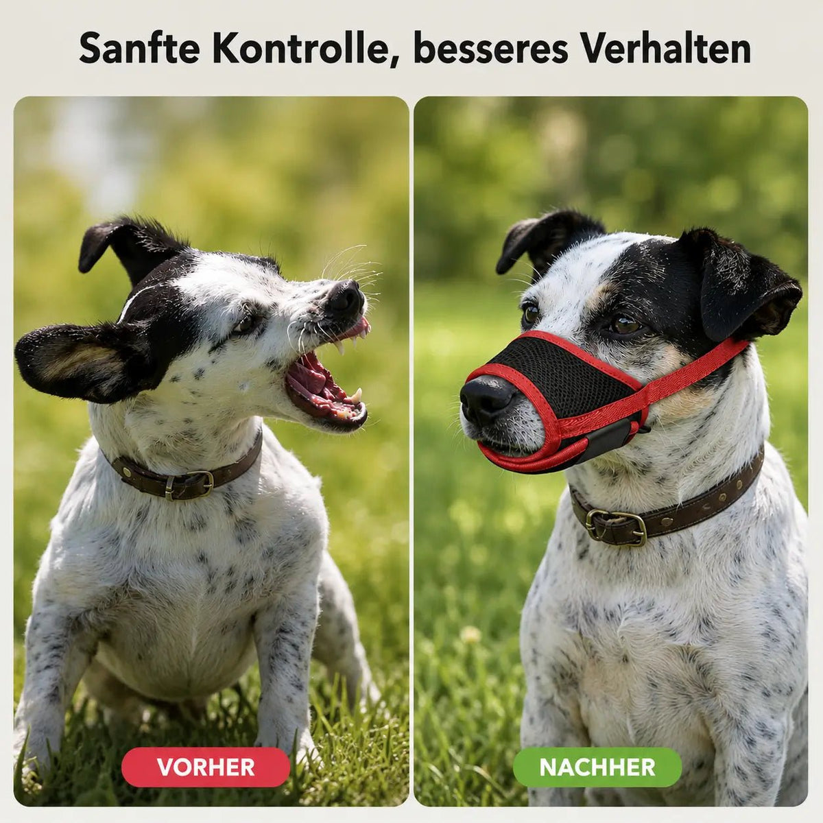 Basket Dog Muzzle, Breathable Adjustable Muzzle for Biting, Panting & Drinking - Homvista