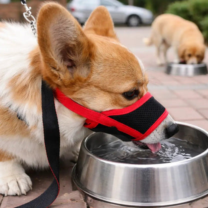 Basket Dog Muzzle, Breathable Adjustable Muzzle for Biting, Panting & Drinking - Homvista