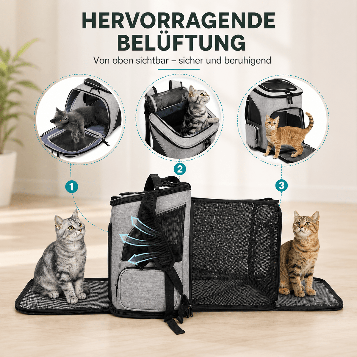 Cat Backpack Carrier, Portable Pet Backpack with Panoramic Window & Ventilation, Up to 8kg - Homvista