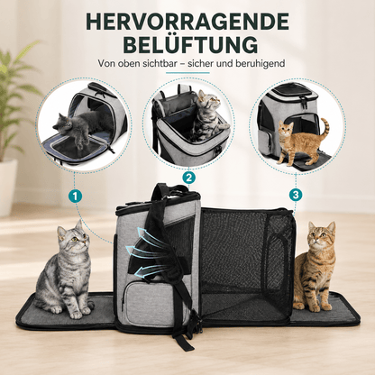 Cat Backpack Carrier, Portable Pet Backpack with Panoramic Window & Ventilation, Up to 8kg - Homvista