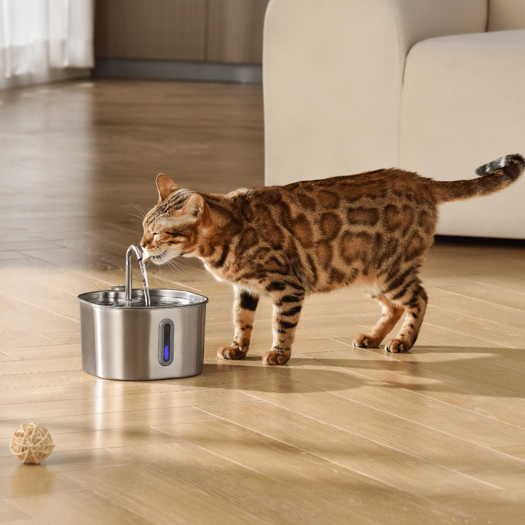 Cat Water Fountain, 2.2L Compact Filtered Pet Fountain with Quiet Easy-Clean Design - Homvista
