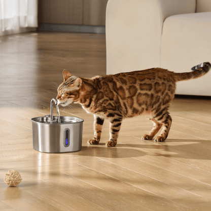 Cat Water Fountain, 2.2L Compact Filtered Pet Fountain with Quiet Easy-Clean Design - Homvista