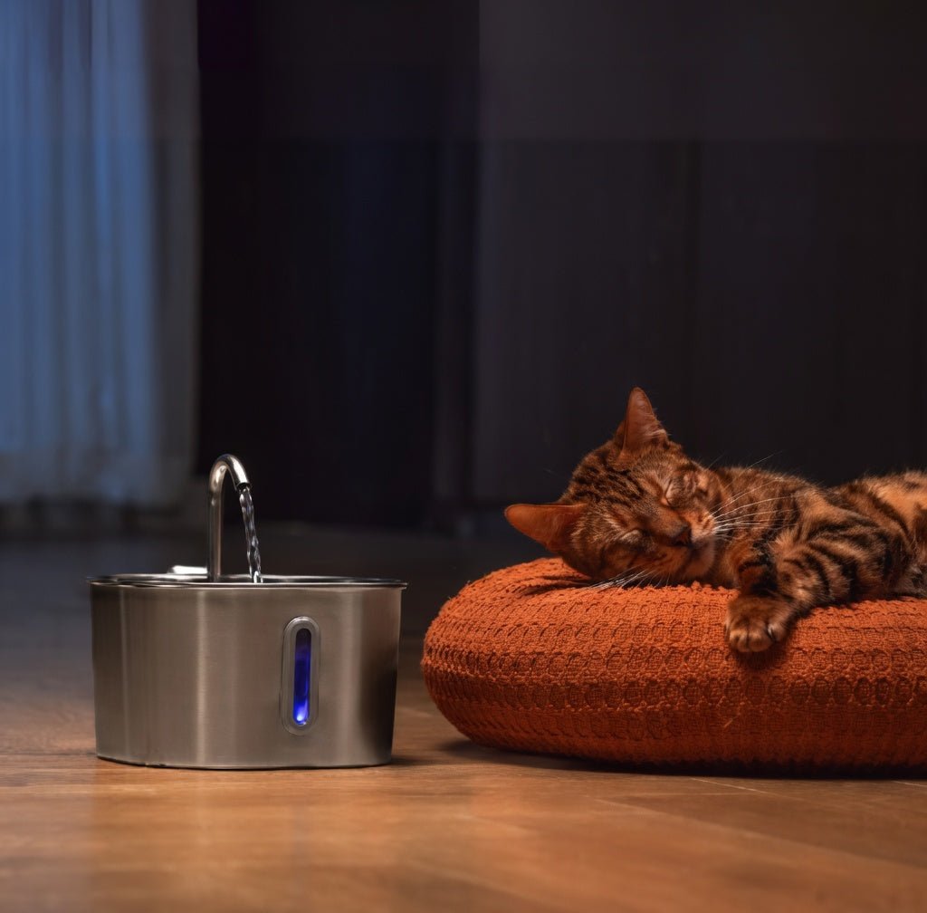 Cat Water Fountain, 2.2L Compact Filtered Pet Fountain with Quiet Easy-Clean Design - Homvista