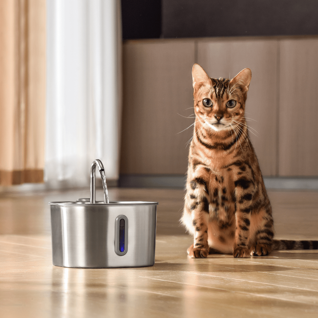 Cat Water Fountain, 2.2L Compact Filtered Pet Fountain with Quiet Easy-Clean Design - Homvista