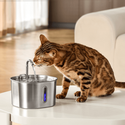 Cat Water Fountain, 2.2L Compact Filtered Pet Fountain with Quiet Easy-Clean Design - Homvista