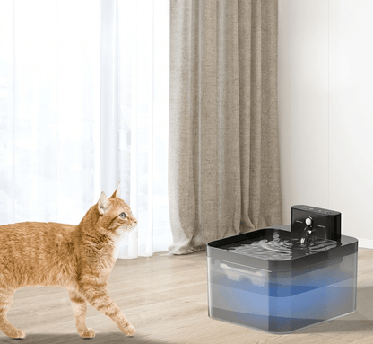 Cat Water Fountain, Rechargeable Sensor-Activated Pet Fountain with Motion Detection & Filtered Flow - Homvista