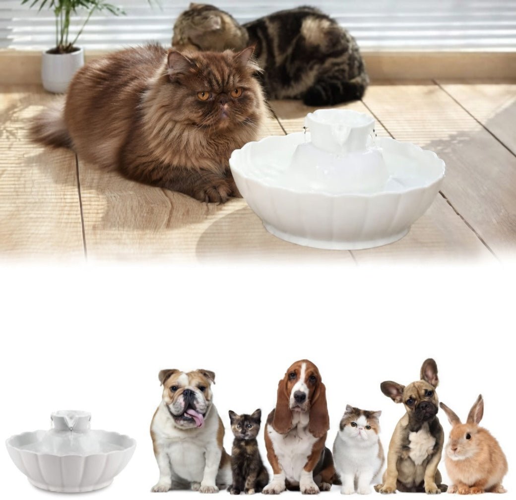 Ceramic Cat Water Fountain, 2.1L Pet Fountain with Dual Filtration & Quiet 2W Pump - Homvista