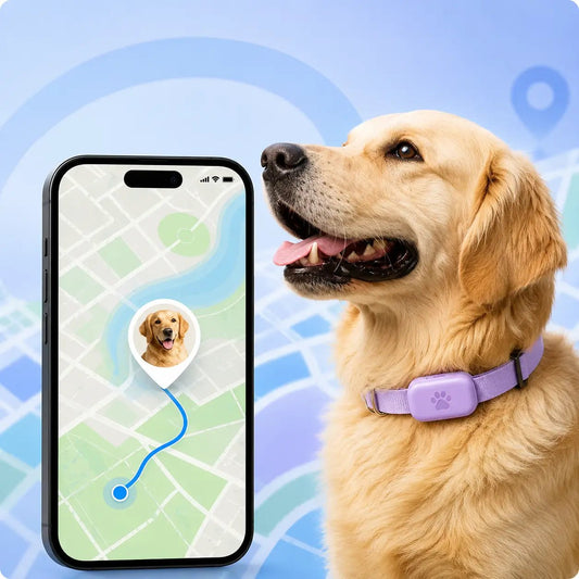 Compatible Pet Tracker for Apple Find My, Dog & Cat Collar Tracker, No SIM Required - Homvista