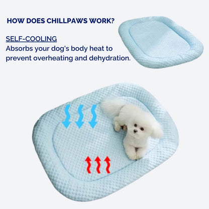 Cooling Dog Bed, Breathable Multi-Layer Pet Bed with Non-Slip Bottom & Washable Cover - Homvista