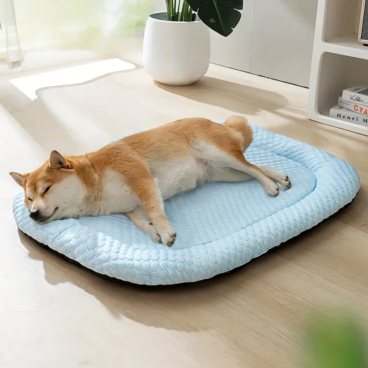 Cooling Dog Bed, Breathable Multi-Layer Pet Bed with Non-Slip Bottom & Washable Cover - Homvista