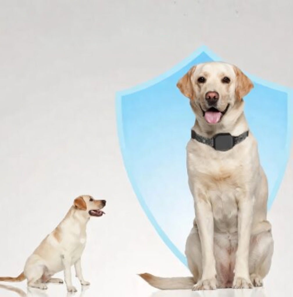Dog Bark Collar, Touch-Screen Rechargeable Anti-Bark Collar with Beep, Vibration & Static Modes - Homvista