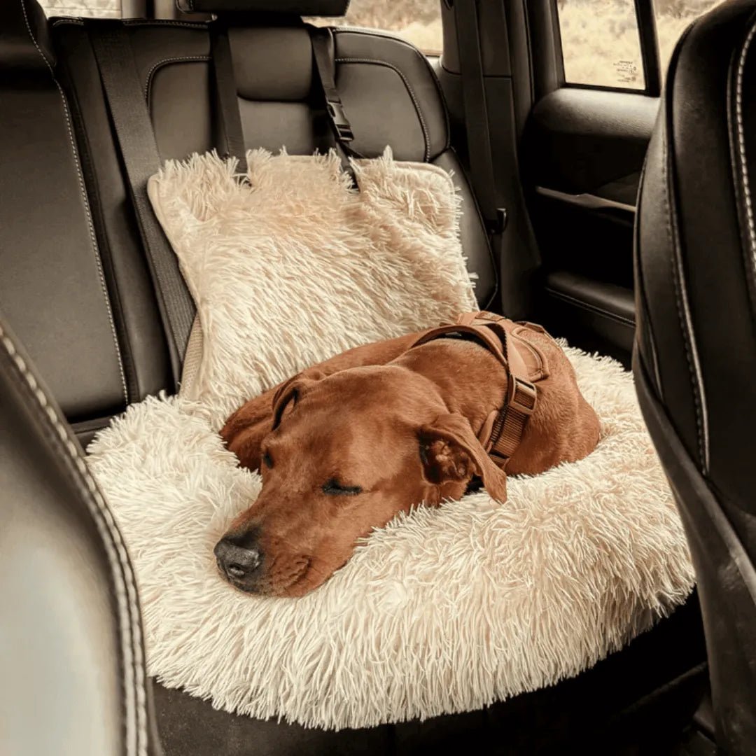 Dog Car Seat, Padded Pet Booster Seat with Safety Leash, Non-Slip Base & Washable Cover - Homvista