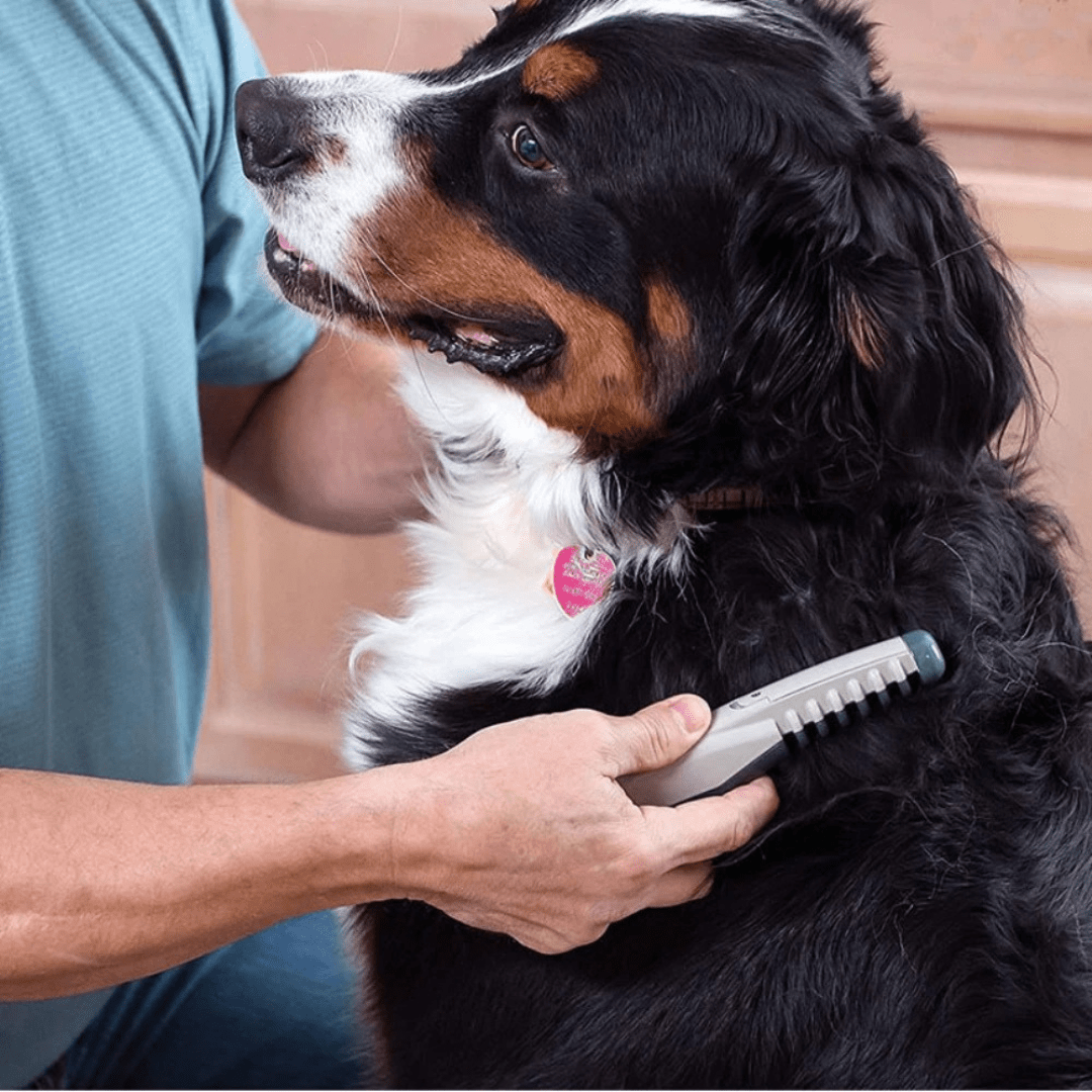 Dog & Cat Detangling Comb, Stainless Steel Pet Grooming Tool for Knots & Matted Fur - Homvista