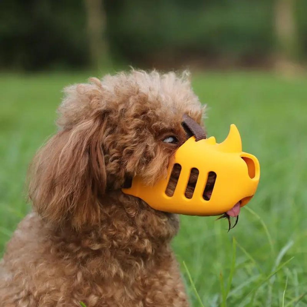 Dog Muzzle, Breathable Adjustable Muzzle for Small, Medium & Large Dogs - Homvista