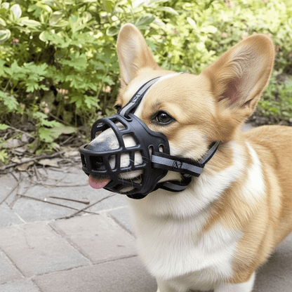 Dog Muzzle, Breathable Mesh Adjustable Muzzle for Biting, Grooming & Walking - Homvista