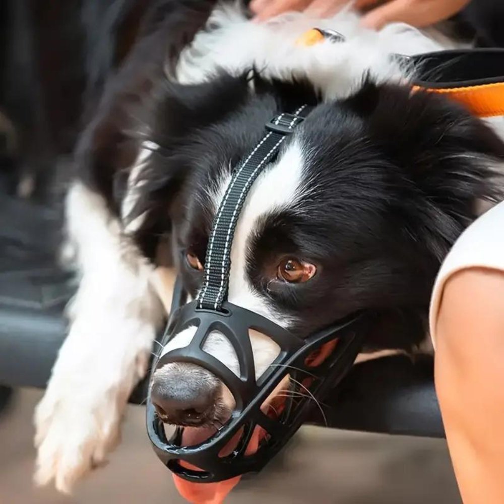 Dog Muzzle for Biting, Breathable Adjustable Muzzle for Walking, Grooming & Training - Homvista