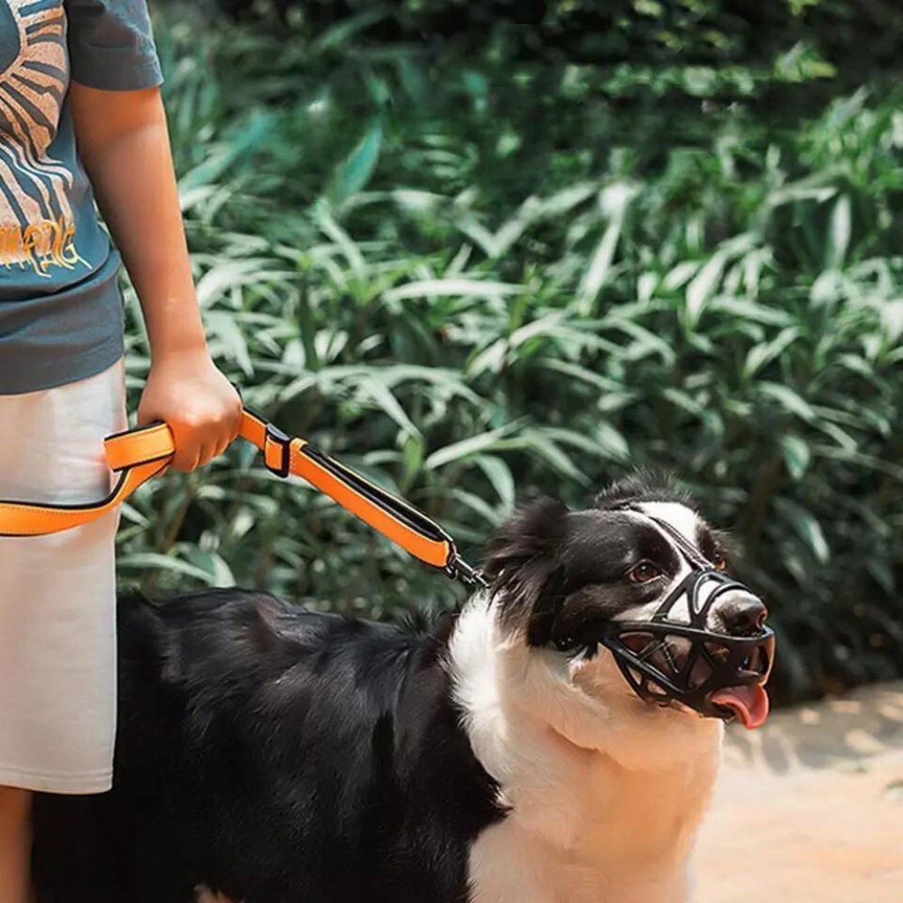 Dog Muzzle for Biting, Breathable Adjustable Muzzle for Walking, Grooming & Training - Homvista
