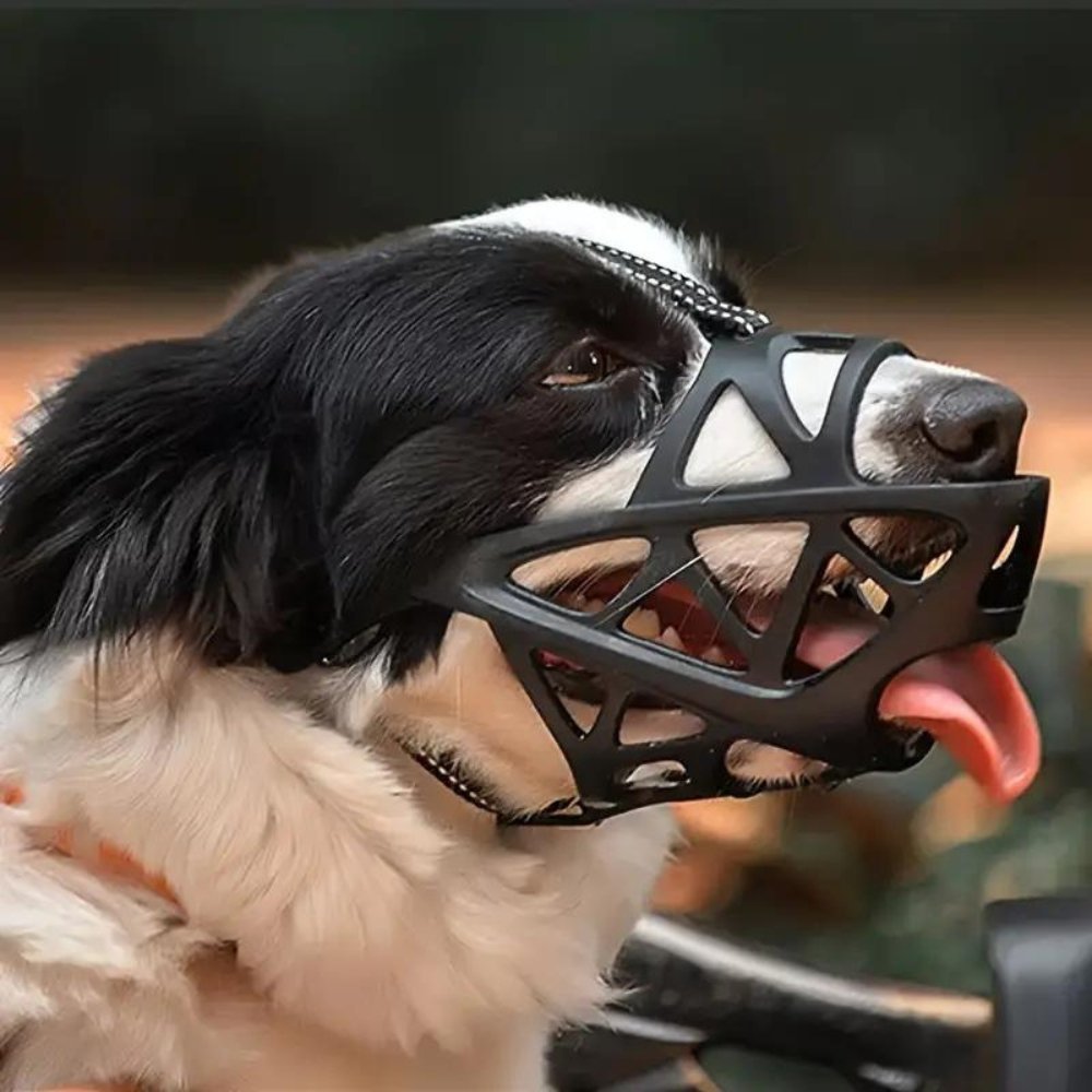 Dog Muzzle for Biting, Breathable Adjustable Muzzle for Walking, Grooming & Training - Homvista
