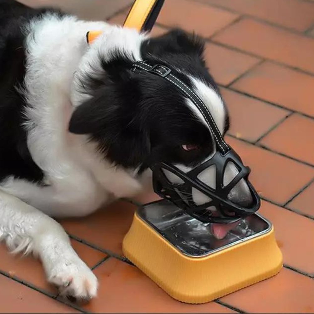 Dog Muzzle for Biting, Breathable Adjustable Muzzle for Walking, Grooming & Training - Homvista