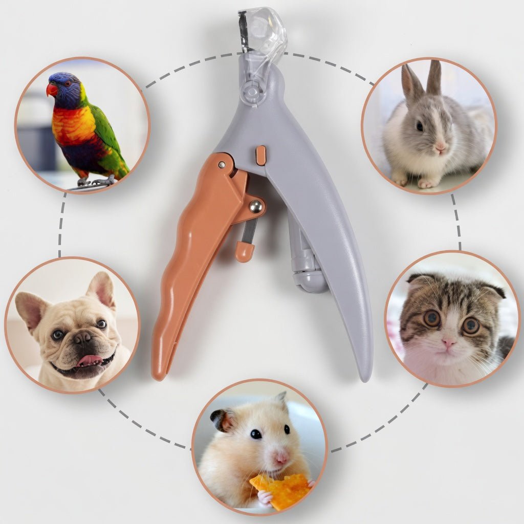 Dog Nail Clippers with Quick Sensor, Stainless Steel Pet Nail Trimmer for At-Home Grooming - Homvista