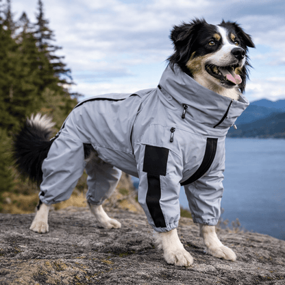 Dog Raincoat, Reflective Water-Resistant Dog Coat with Breathable Lining, S–XXL - Homvista
