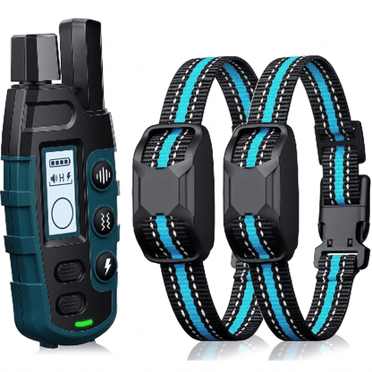 Dog Training Collar, Remote E Collar for Dogs with 1000m Range, IPX7 & 99 Levels - Homvista