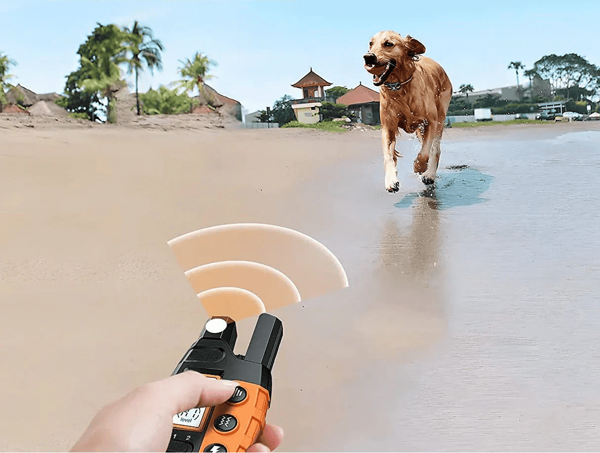 Dog Training Collar, Remote E Collar for Dogs with 1000m Range, IPX7 & 99 Levels - Homvista