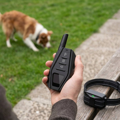 Dog Training Collar with Remote, 1000m IPX7 E Collar with Beep, Vibration & Static Modes - Homvista