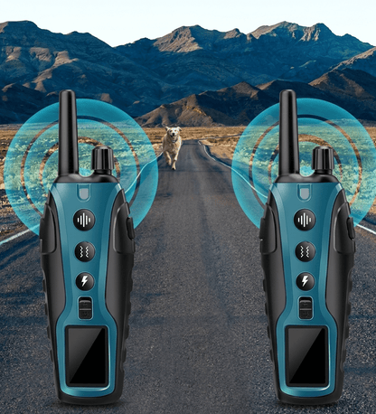 Dog Training Collar with Remote, 2000m IP67 E Collar with 99 Levels & Dual-Channel Control - Homvista