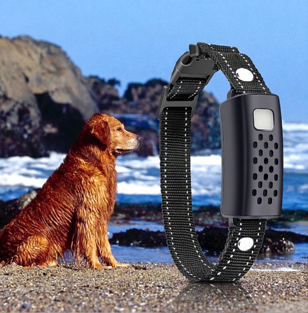 Dog Training Collar with Remote, 2000m IP67 E Collar with 99 Levels & Dual-Channel Control - Homvista