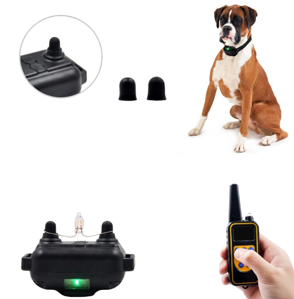 Dog Training Collar with Remote, 2400ft Waterproof E Collar with 3 Modes & Memory Function - Homvista