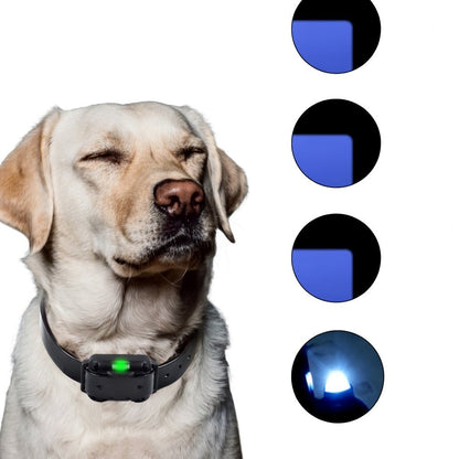 Dog Training Collar with Remote, 2400ft Waterproof E Collar with 3 Modes & Memory Function - Homvista