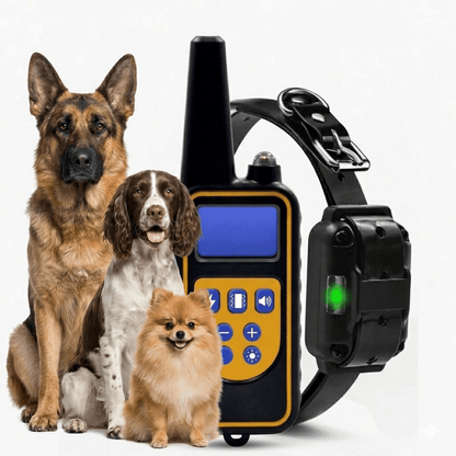 Dog Training Collar with Remote, 2600ft Water-Resistant E Collar with 3 Training Modes - Homvista
