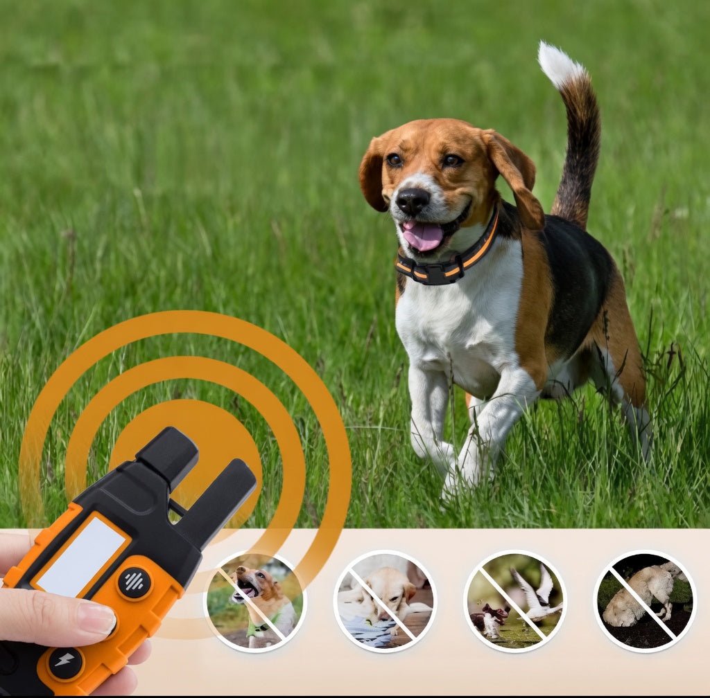 Dog Training Collar with Remote, 3300ft Waterproof E Collar with Beep, Vibration & Static - Homvista