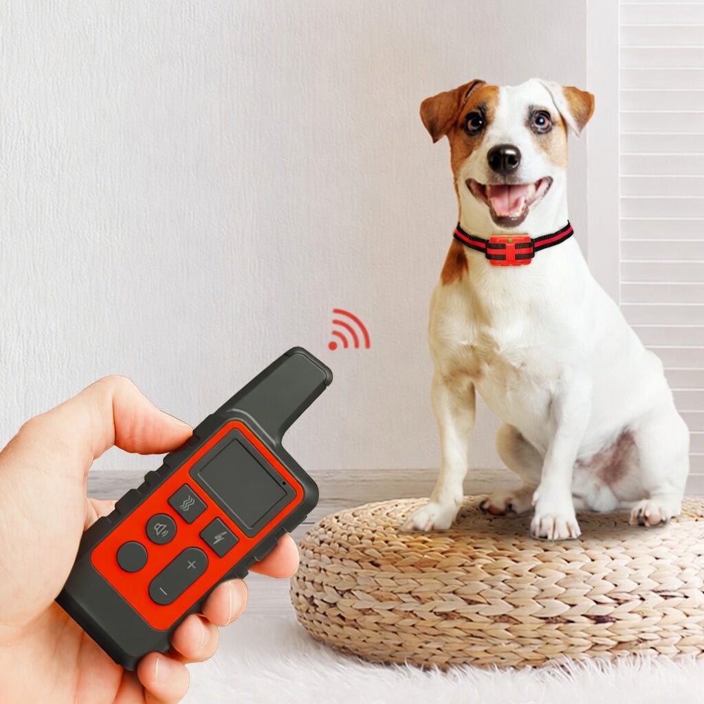 Dog Training Collar with Remote, 500m Waterproof E Collar with USB Charging & Long Standby Battery - Homvista
