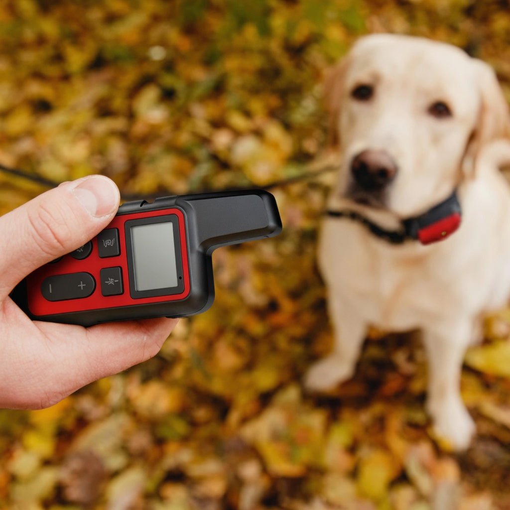 Dog Training Collar with Remote, 500m Waterproof E Collar with USB Charging & Long Standby Battery - Homvista