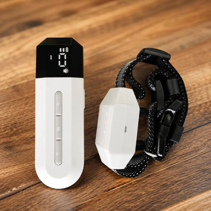 Dog Training Collar with Remote, 800m E Collar for Dogs with Beep, Vibration & 16 Levels - Homvista