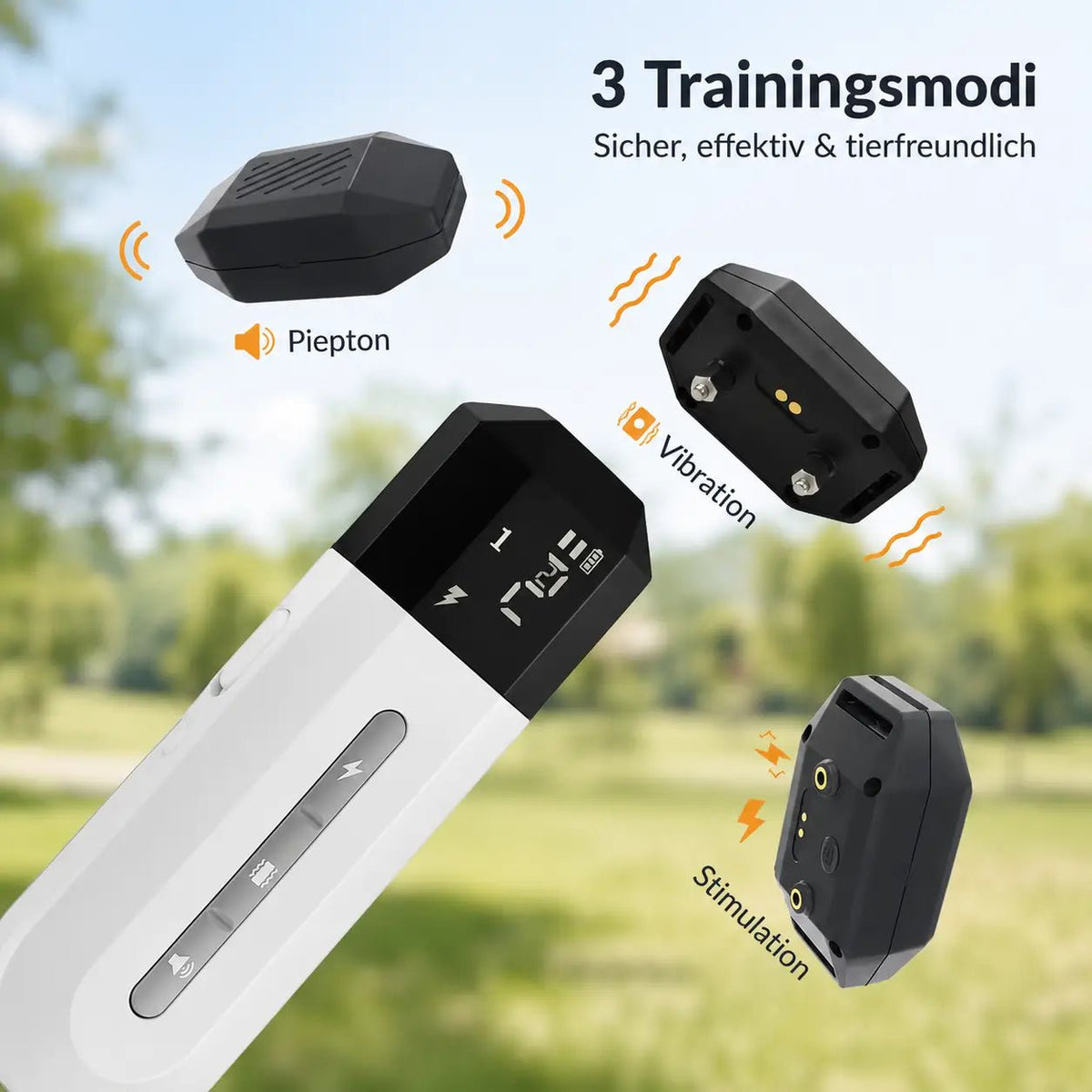Dog Training Collar with Remote, 800m E Collar for Dogs with Beep, Vibration & 16 Levels - Homvista